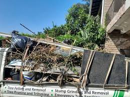 Best Shed Removal  in Bertram, TX
